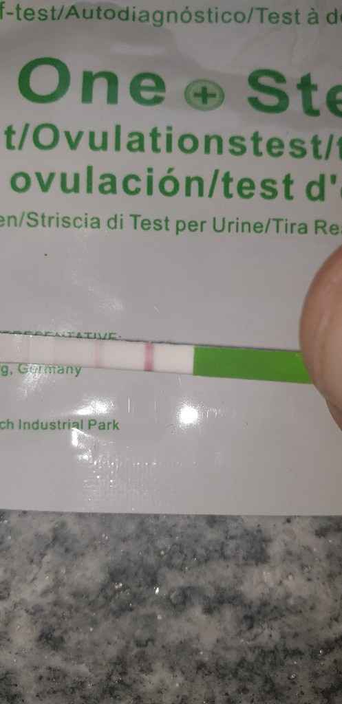 Test ovulazione canadese chi mi aiuta?? - 5