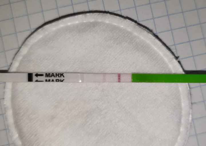 Test ovulazione canadese chi mi aiuta?? - 7