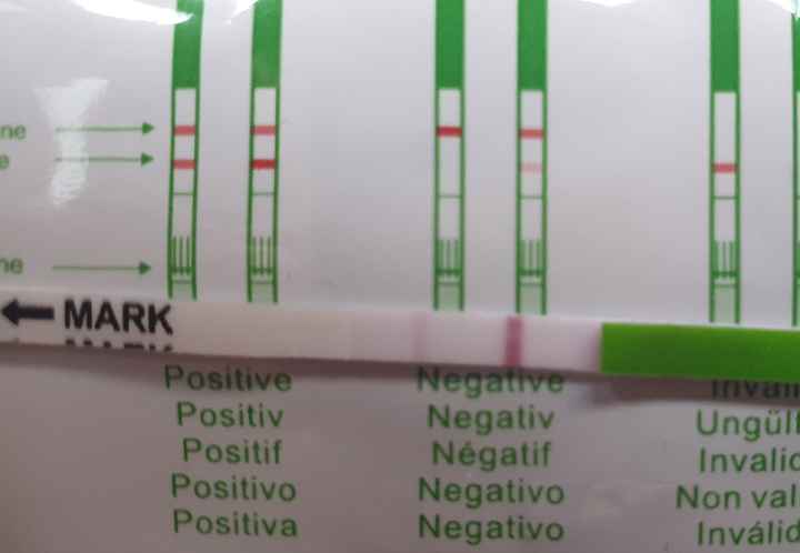 Test ovulazione canadese chi mi aiuta?? - 10