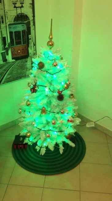 Pubblichiamo la foto dei nostri alberi!! ;) - 1