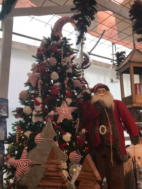 Primo Albero di Natale - 2