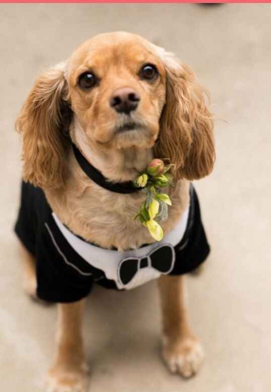 La sfida delle amministratrici - 11