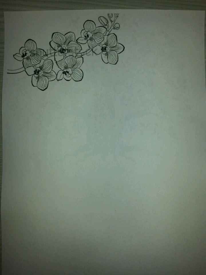 Quale scegliere??? - 1