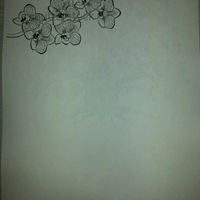 Quale scegliere??? - 1