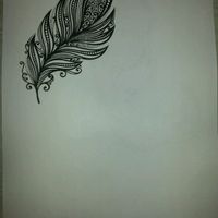 Quale scegliere??? - 2