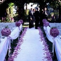 Tema bianco e glicine - 2