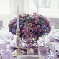 Tema bianco e glicine - 3