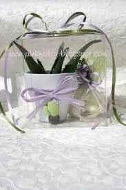 Bomboniere piante grasse accetto consigli! - 1