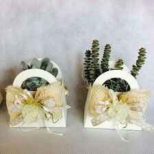 Bomboniere piante grasse accetto consigli! - 3