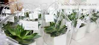 Bomboniere piante grasse accetto consigli! - 5