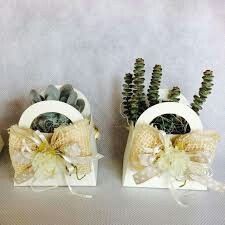 Bomboniere piante grasse accetto consigli! - 3