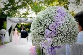 Aiuto..consiglio fiori - 2