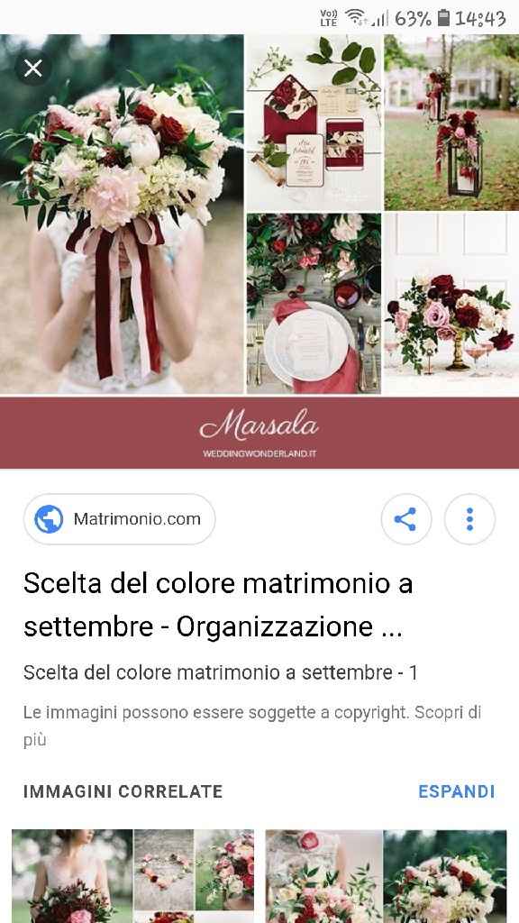 Bouquet: chi me mi mostra il suo? (o le sue idee) - 1
