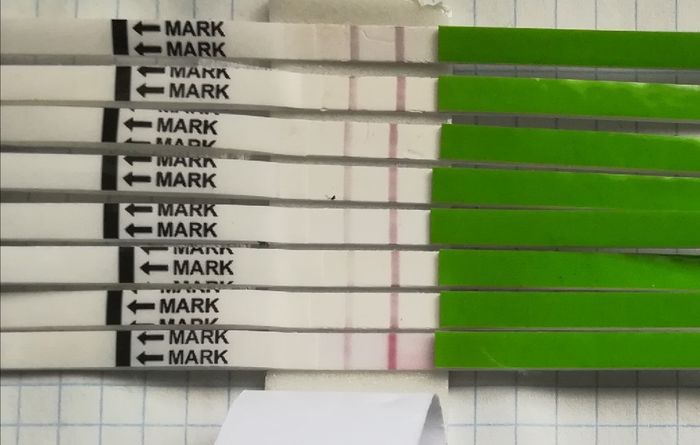 Chi non le aspetta per gennaio 2020 - 1