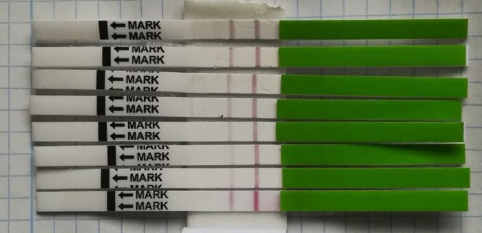 Chi non le aspetta per gennaio 2020 - 1