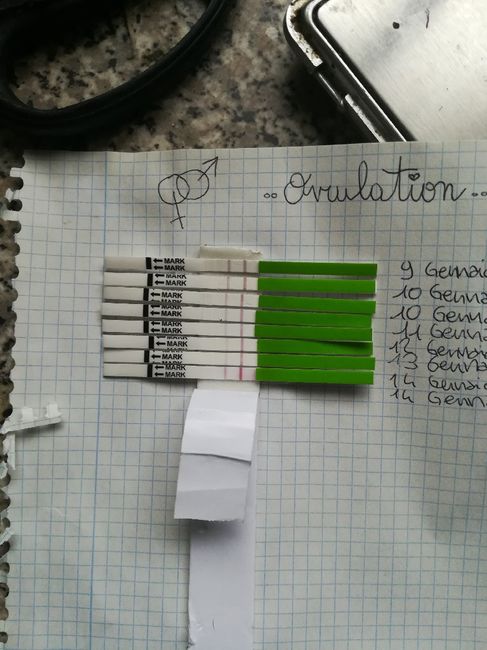 Chi non le aspetta per gennaio 2020 - 2