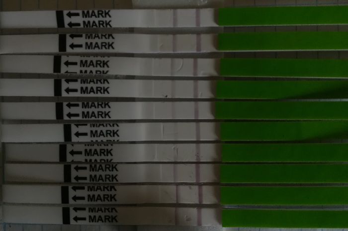 9 po e Stick Ovulazione Positivo 1