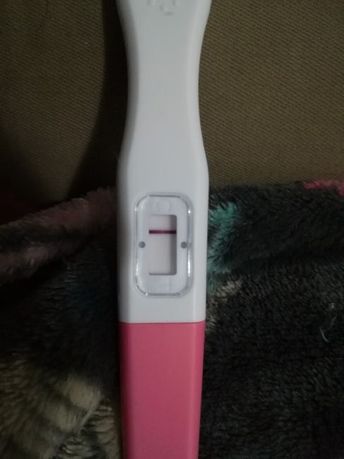 Chi non le aspetta per gennaio 2020 - 1