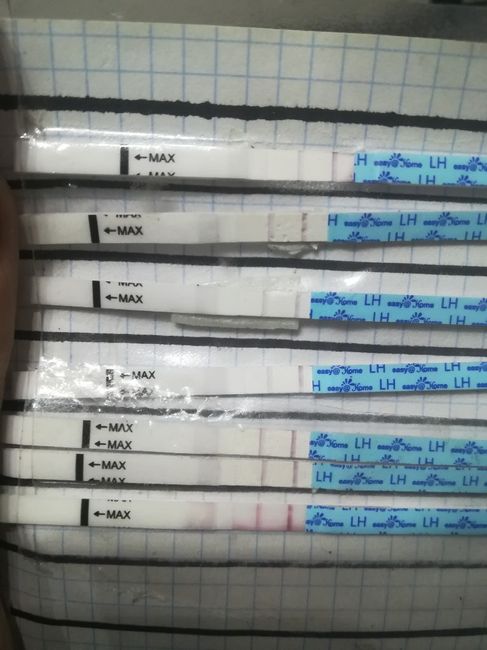 Per chi non le aspetta per febbraio 2020 - 1