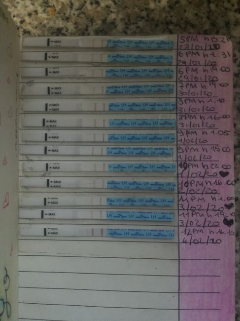 Per chi non le aspetta per febbraio 2020 - 1