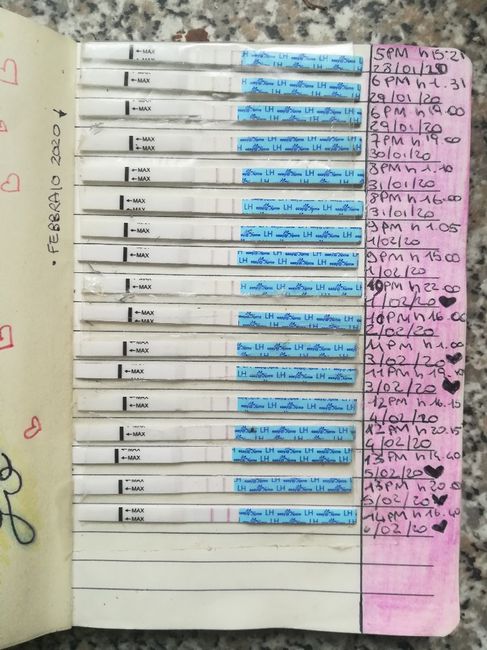 Per chi non le aspetta per febbraio 2020 - 1