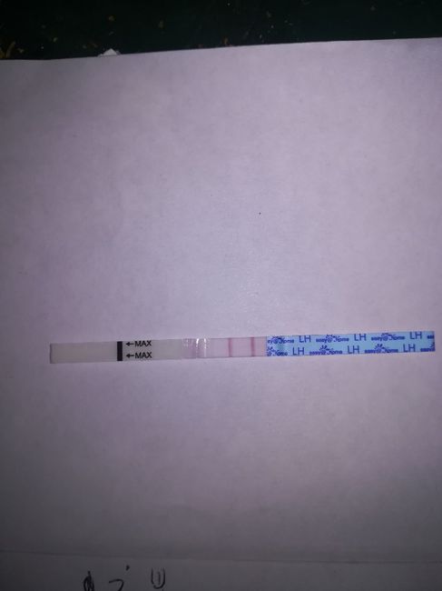 Per chi non le aspetta per febbraio 2020 - 1