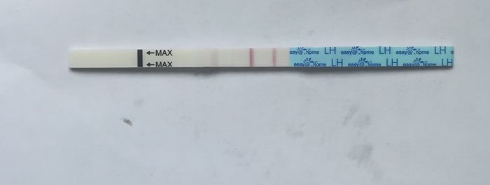 Per chi non le aspetta per febbraio 2020 - 1