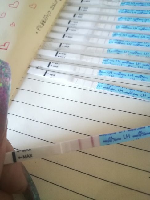 Per chi non le aspetta per febbraio 2020 - 1