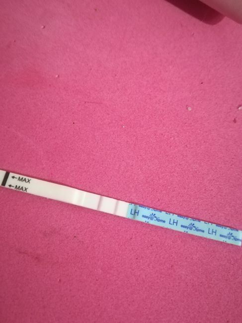 Per chi non le aspetta per febbraio 2020 - 1