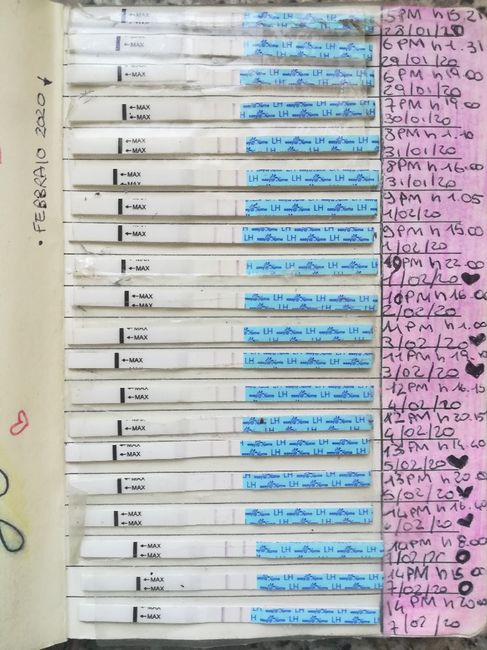 Per chi non le aspetta per febbraio 2020 - 1