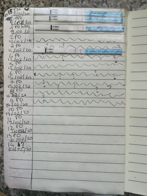 Per chi non le aspetta per febbraio 2020 - 2