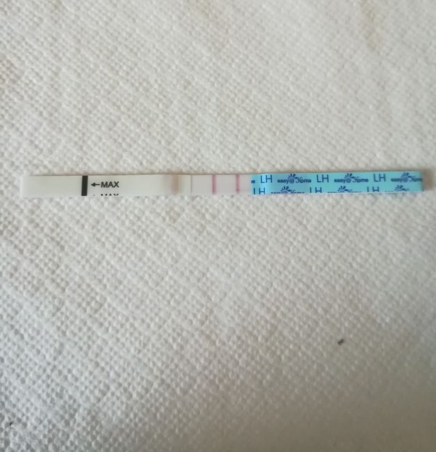 Per chi non le aspetta per febbraio 2020 - 1