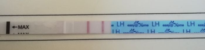 Per chi non le aspetta per febbraio 2020 - 1