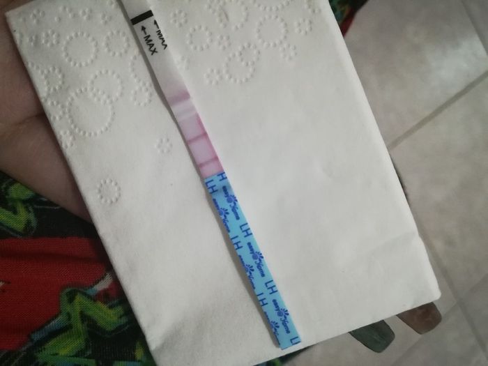 Per chi non le aspetta per febbraio 2020 - 1