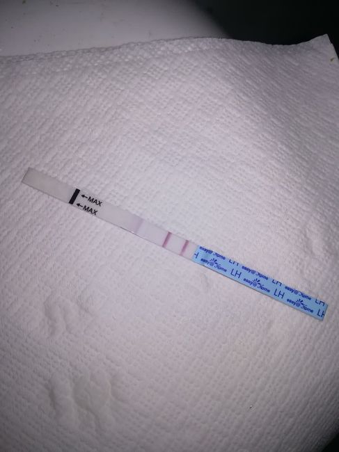 Per chi non le aspetta per febbraio 2020 - 1