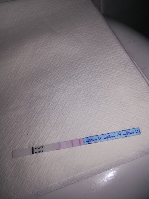 Per chi non le aspetta per febbraio 2020 - 1