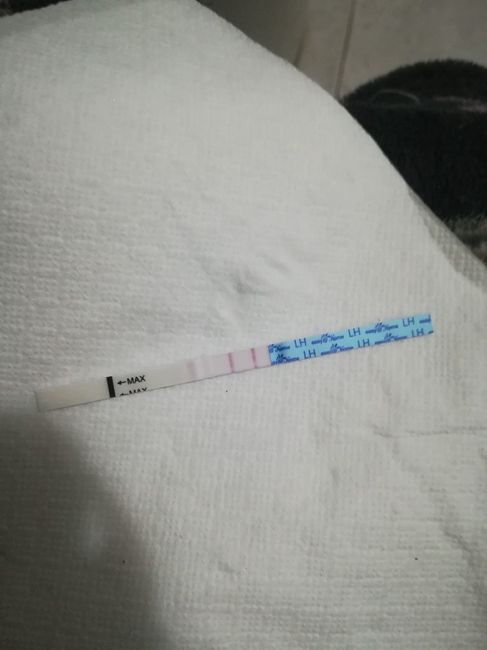 Per chi non le aspetta per febbraio 2020 - 1