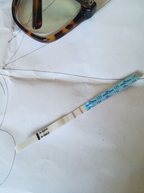 Per chi non le aspetta per febbraio 2020 - 1