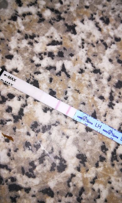 Per chi non le aspetta per febbraio 2020 - 1