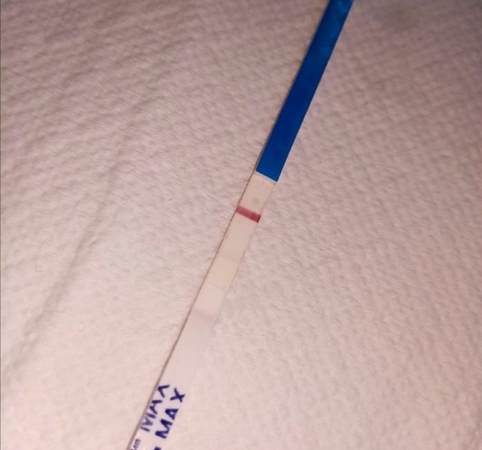 🌺Chi non le aspetta per agosto 🎁🏖️🌞💛💚❤️💝🌻🌷 - 1