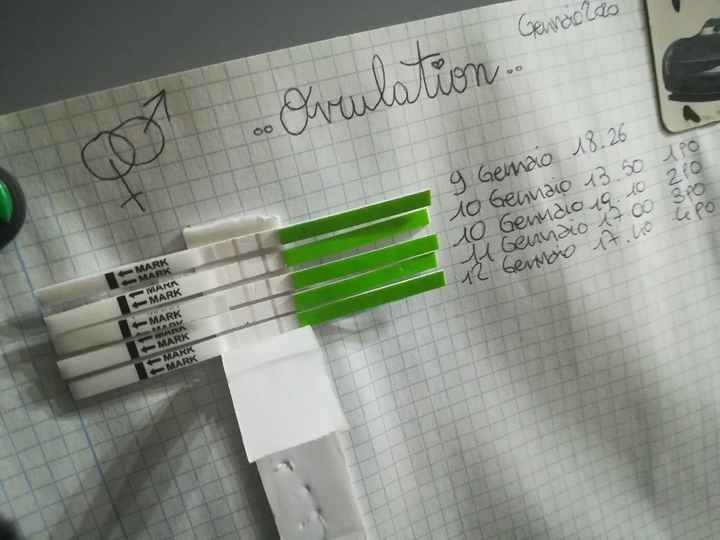 Chi non le aspetta per gennaio 2020 - 1