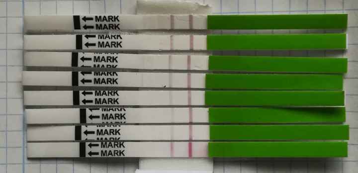 Chi non le aspetta per gennaio 2020 - 1