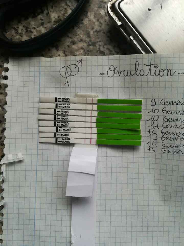 Chi non le aspetta per gennaio 2020 - 2