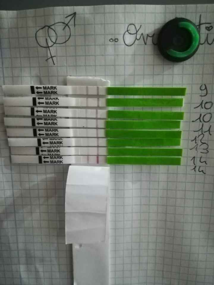 Chi non le aspetta per gennaio 2020 - 1