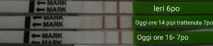 Chi non le aspetta per gennaio 2020 - 1