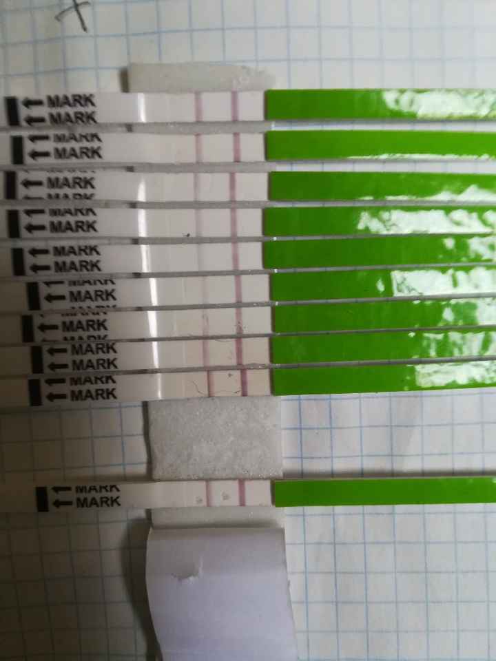 Chi non le aspetta per gennaio 2020 - 1