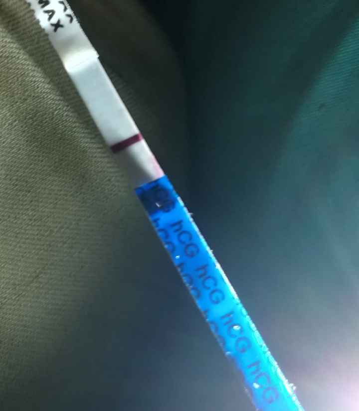 Chi non le aspetta per gennaio 2020 - 2