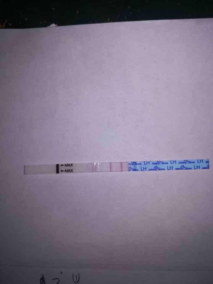 Per chi non le aspetta per febbraio 2020 - 1