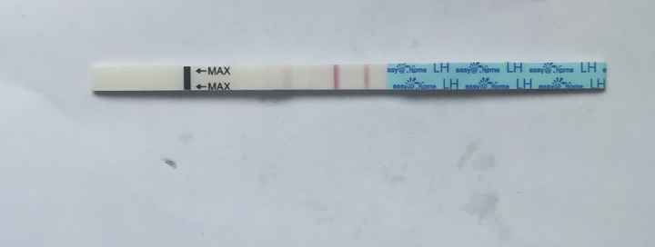 Per chi non le aspetta per febbraio 2020 - 1