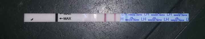 Per chi non le aspetta per febbraio 2020 - 1